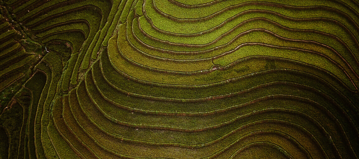 Aerial view of terraced fields