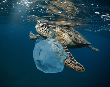 Raising consumer awareness of plastic waste and ocean pollution
