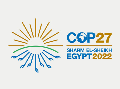 Logo for COP 27